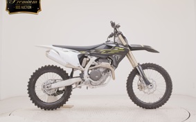 TRIUMPH TF250-X