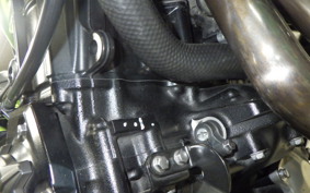 KAWASAKI Z900 Gen.2 2020 ZR900B