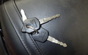 KAWASAKI NINJA 250 ABS 2022 EX250L