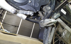 YAMAHA DT50 2024 17W