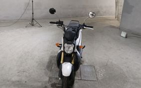 HONDA ZOOMER-X JF52