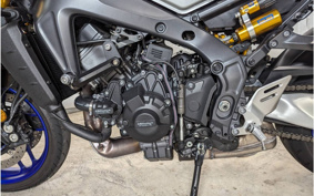 YAMAHA MT-09 SP ABS 2024 RN69J