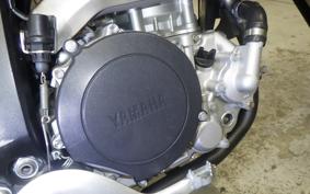 YAMAHA WR250X DG15J