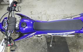 YAMAHA WR250R 2008 DG15J