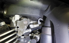 HARLEY NIGHT ROD 1250 SP 2008