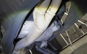 YAMAHA YZF-R3 2019 RH13J