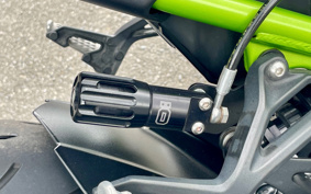 KAWASAKI Z900 2019 ZR900B