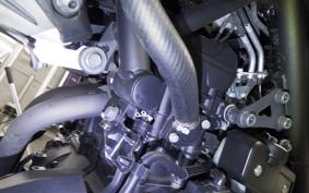 YAMAHA MT-25 RG43J