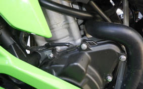 KAWASAKI ZX-4RR 2025 ZX400P