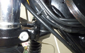 KAWASAKI W800 2018 EJ800A