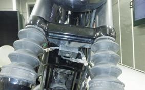 HARLEY XL1200NS 2019