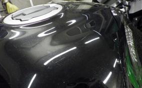 KAWASAKI NINJA 1000SX 2024 ZXT02K
