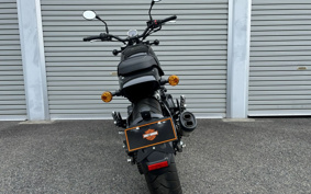 HARLEY X500 2024 W5B