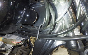KAWASAKI ESTRELLA RS 2024 BJ250A