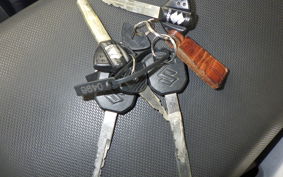 SUZUKI Vｽﾄﾛｰﾑ250A 2026