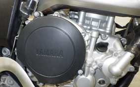 YAMAHA WR250X 2006 DG15J