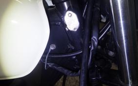 KAWASAKI 250TR 2015 BJ250F