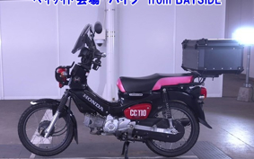 OTHER  CROSS  CUB 110-2