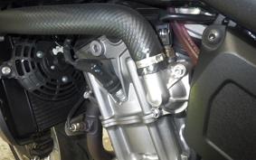 HONDA HAWK 11 2022 SC85