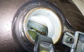 YAMAHA VIRAGO 250 2022 3DM