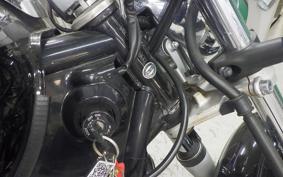 YAMAHA DRAGSTAR 250 2015 VG05J