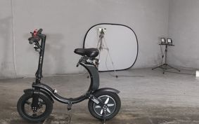 OTHER MINI BIKE ..