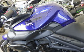 TRIUMPH TIGER 800 2012