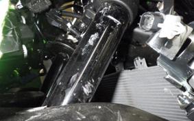 KAWASAKI ZX-4RR 2026 ZX400P