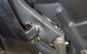 KAWASAKI Z1000 Gen.5 2015