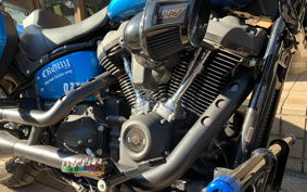 HARLEY  HARLEY FXLRST 2023 YXZ