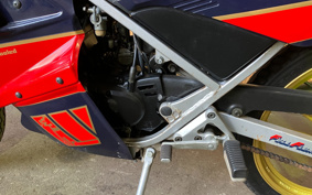 YAMAHA AKUSHI STREET SE53J