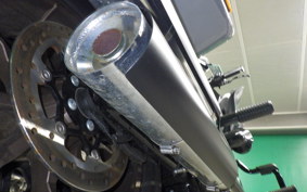 HARLEY FXLRST1920 2024