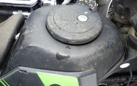 KAWASAKI KLX250 Gen.2 LX250S