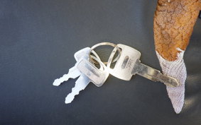 HONDA C50 SUPER CUB AA01