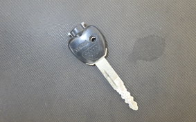 YAMAHA MAXAM 250 SG21J