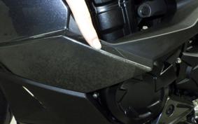 KAWASAKI NINJA1100SX 2025 ZXT10H