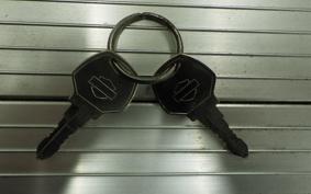 OTHER +UNREGISTERED MODEL by BDS1330 2021