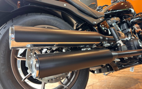 HARLEY FXLRS 2023 YWZ