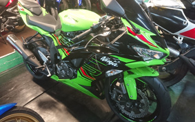 KAWASAKI NINJA ZX-6R 2022 ZX636G