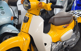 HONDA SUPER CUB50 AA09