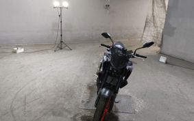 YAMAHA MT-25 RG43J