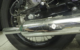 KAWASAKI W800 CAFE 2021 EJ800B