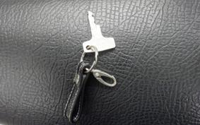 HONDA SL250S 2015 SL250S