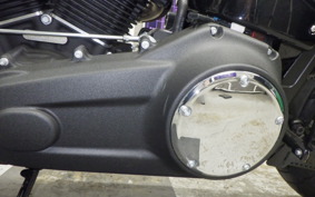 HARLEY FXFB1750 2020