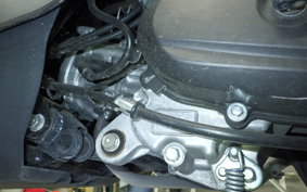 HONDA TACT Basket 2025 AF79