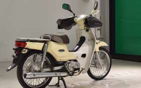 HONDA C110 SUPER CUB