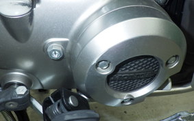 HONDA CT125 HUNTER CUB 2022 JA55