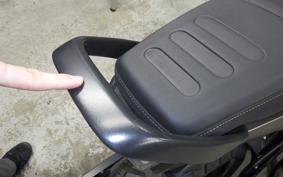 HUSQVARNA SVARTPILEN 250 2020