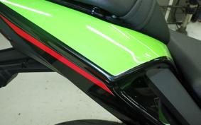 KAWASAKI NINJA ZX-6R A 2022 ZX636G