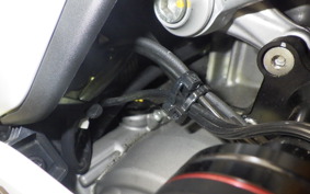 DUCATI PANIGALE V2 2020
